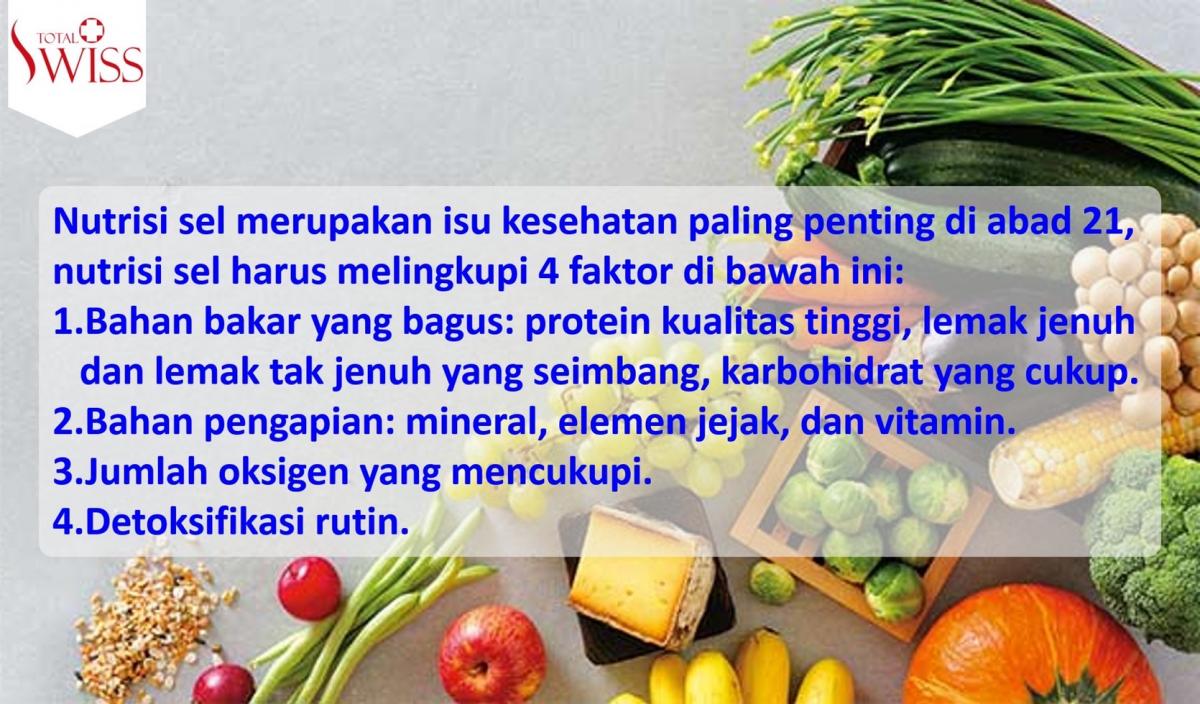 4 Nutrisi Sel Yang Paling Penting Untuk Tubuh-1