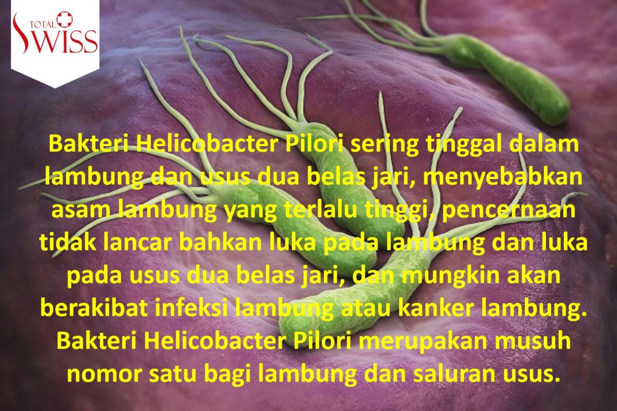 Bakteri Helicobacter Pylori-1