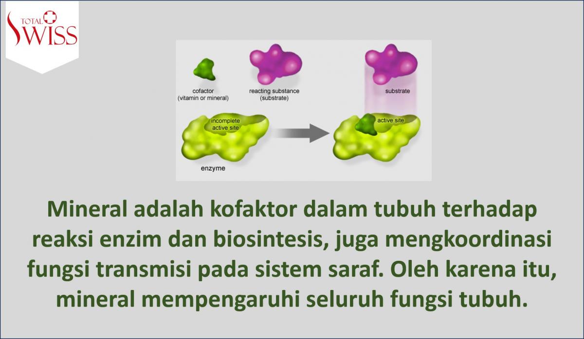 Mineral Mempengaruhi Seluruh Fungsi Tubuh-1